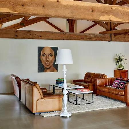 Loft In Converted Wine Cellar In Occitania Villedaigne